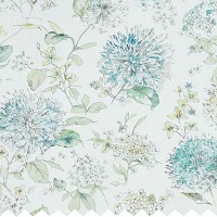 roman blinds nz clipcharlotte lichen