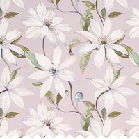 roman blinds nz emily thistle