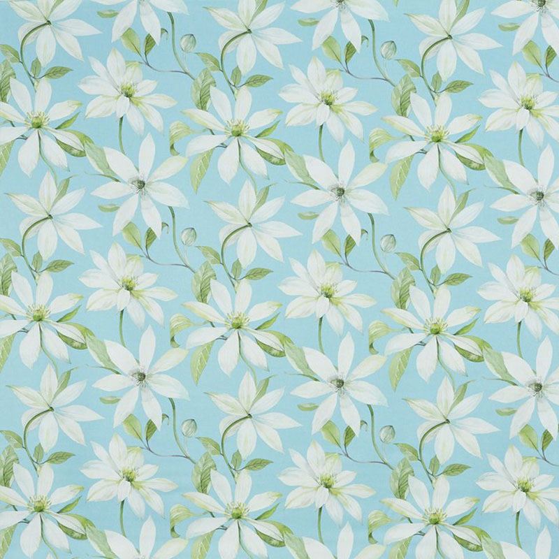 types of blinds emily lichen