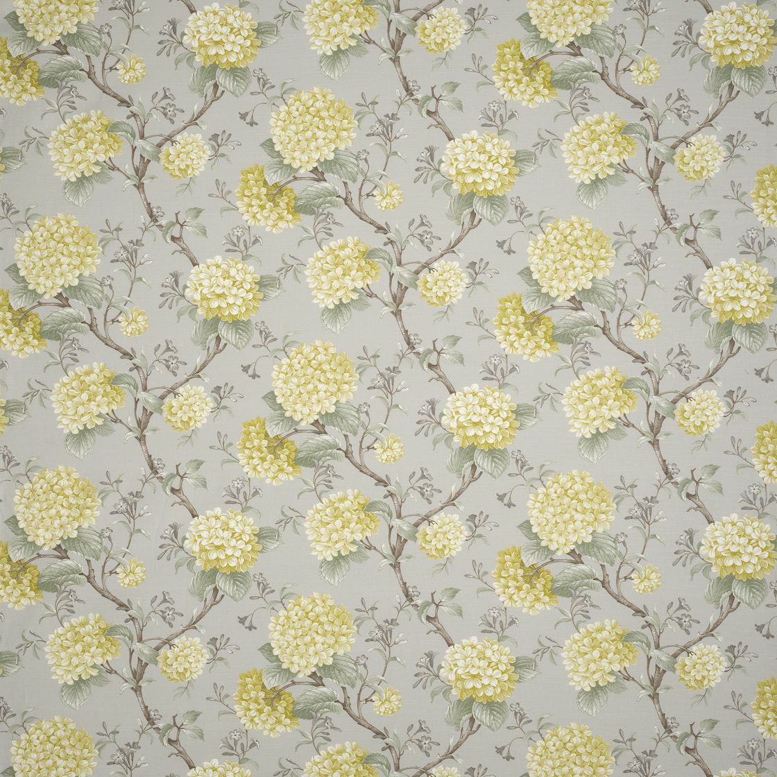 main hydrangea willow